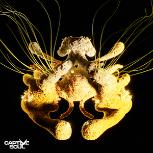 亂伦AV综合一区
